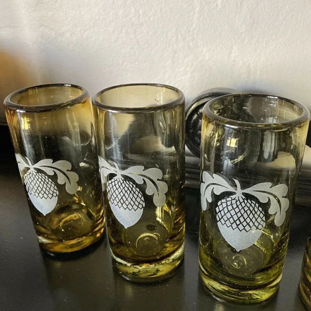 Hand made Mexico Glasses W/ Acorn Frosted Design